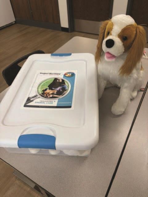 animal care